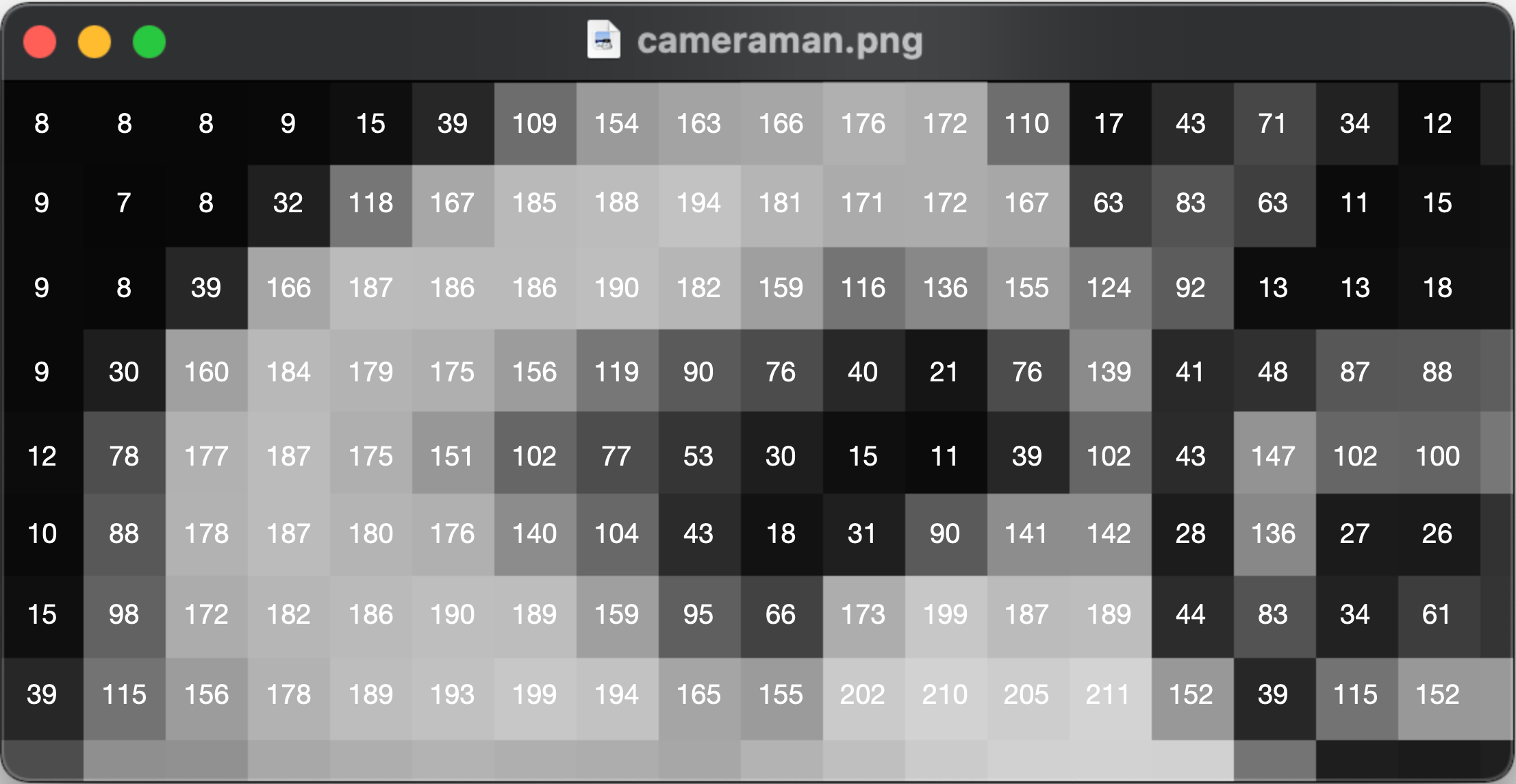 cameraman zoomin max digit